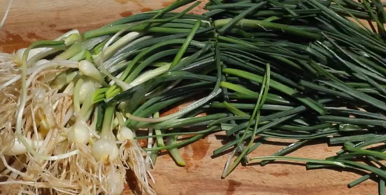 유튜브 '이지레시피'