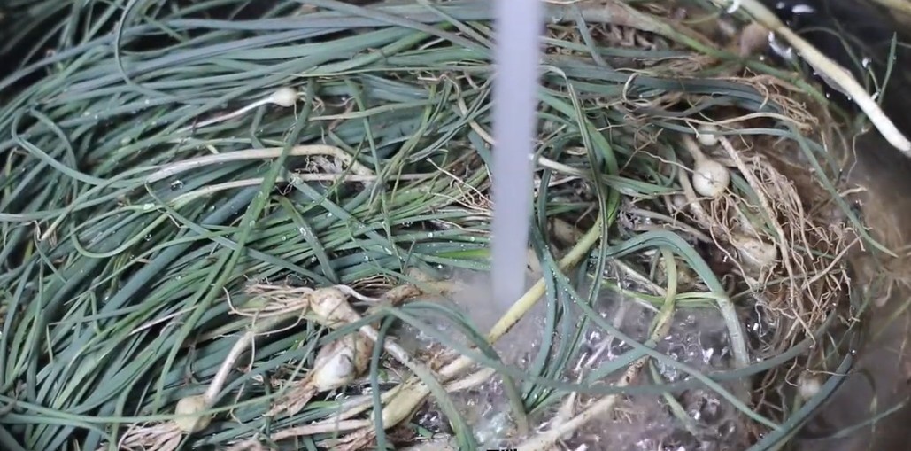 유튜브 '이지레시피'