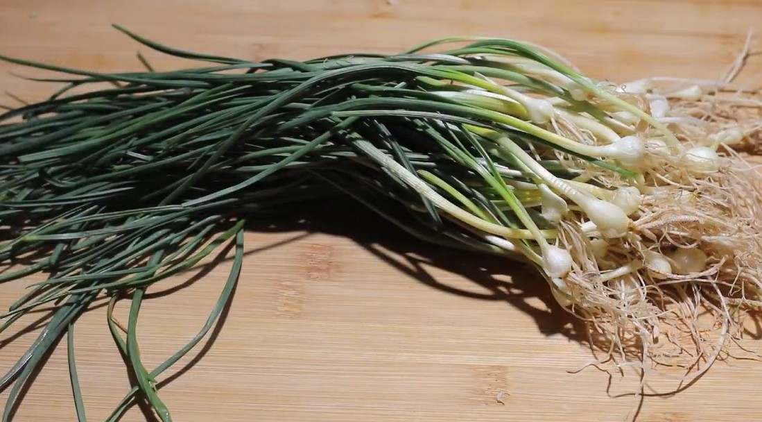 유튜브 '이지레시피'