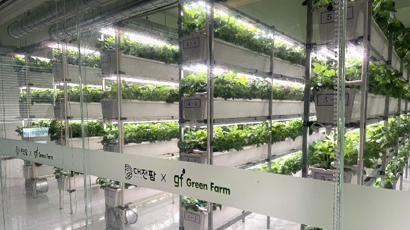 도심 내 유휴공간을 활용한 스마트팜 전경/사진=대전시