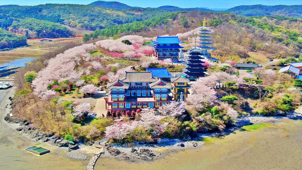 태안 안면암 봄 풍경   / 연합뉴스