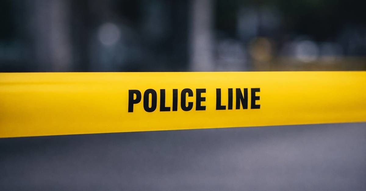 기사에 대한 이해를 돕기 위해 AI 툴로 제작한 자료 사진