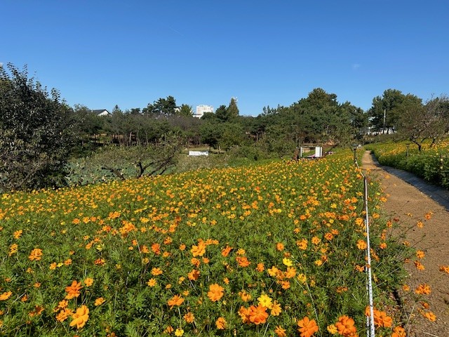 꽃바람정원 / 익산시
