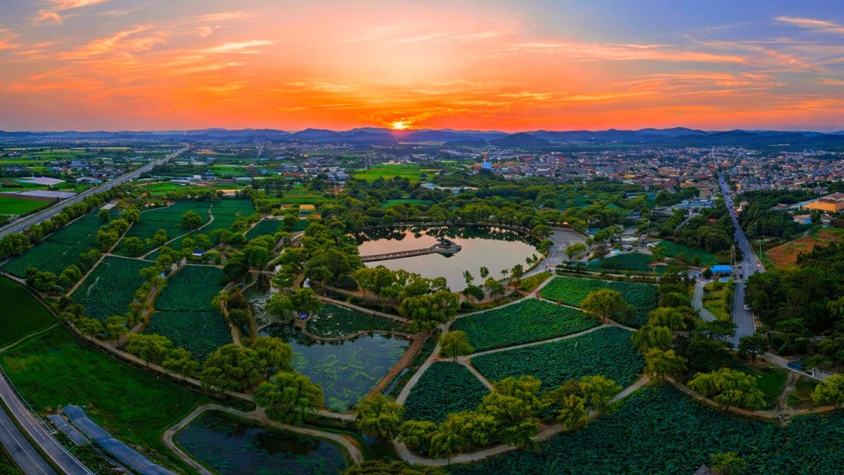 궁남지. 기사 내용 토대로 AI툴 활용해 제작한 자료사진.