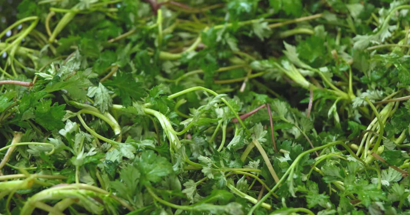 유튜브 '함께해요 맛나요리'