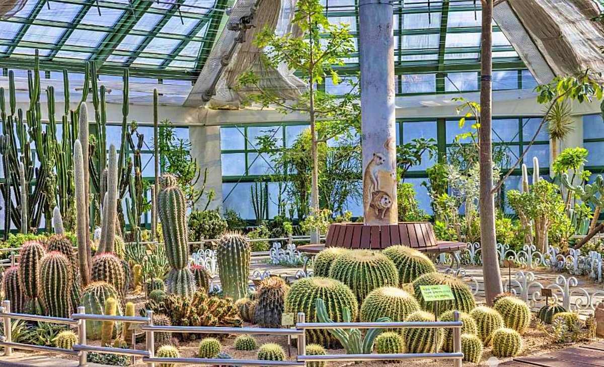 미동산수목원 다육식물원 온실 / ⓒ한국관광 콘텐츠랩