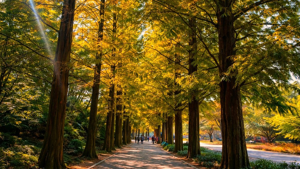 경남수목원. / 진주시 공식 블로그, AI