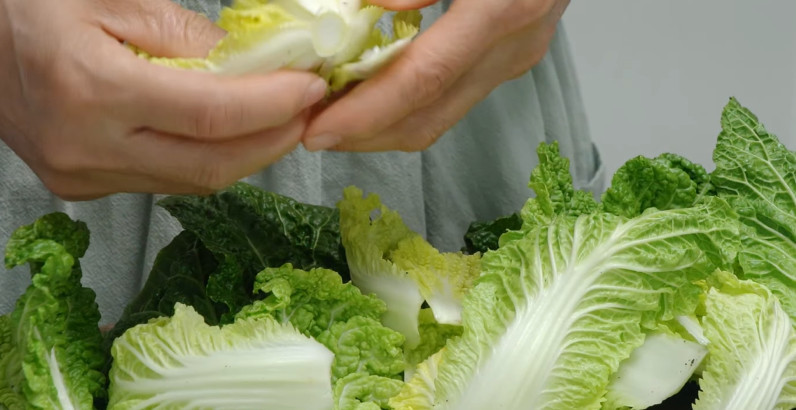 유튜브 '팔숙이 palsook'