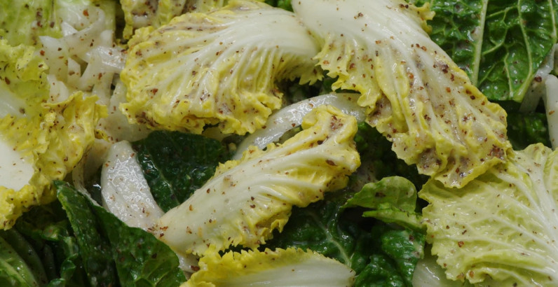 유튜브 '팔숙이 palsook'