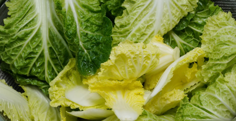 유튜브 '팔숙이 palsook'