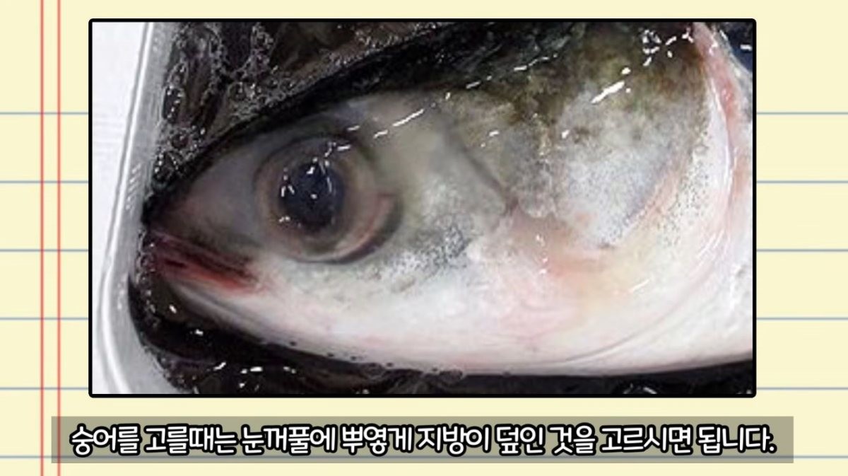 맛있는 숭어 고르는 법. / 유튜브 ‘생선선생 미스터S’