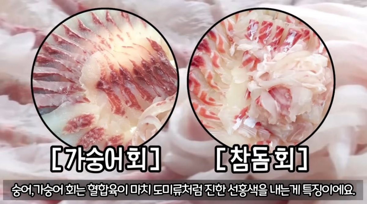 비슷하게 생겨서 많이 혼동하는 '가숭어회'와 '참돔회'. / 유튜브 ‘생선선생 미스터S’
