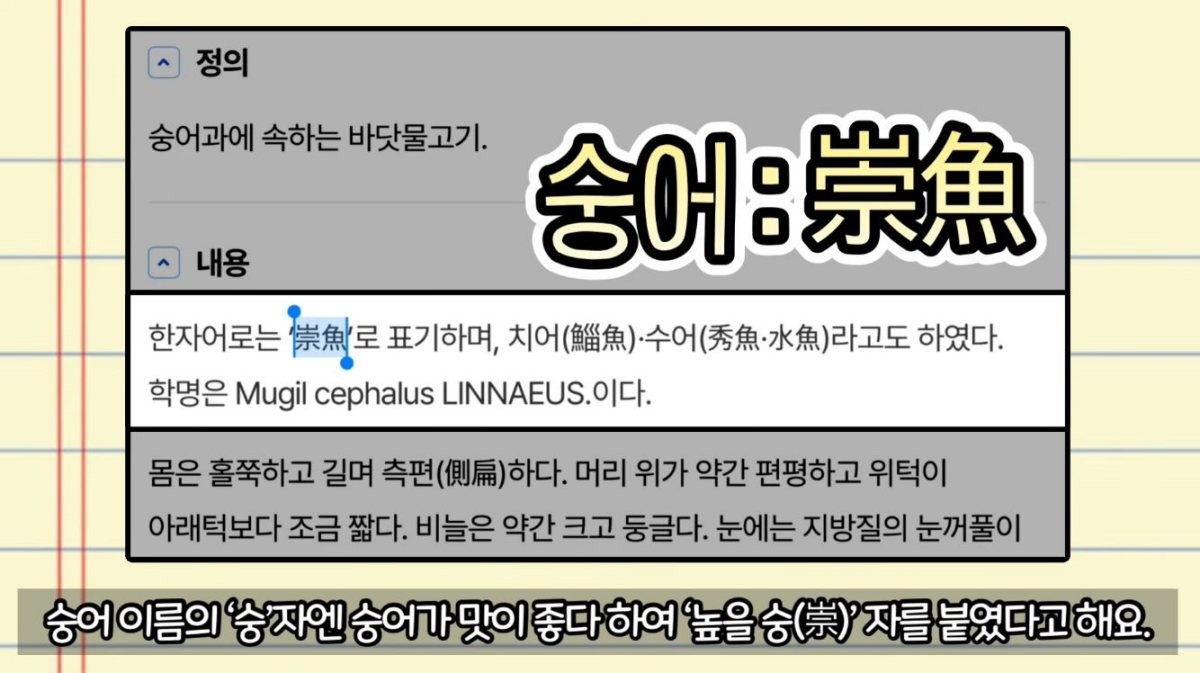 숭어 이름 뜻. / 유튜브 ‘생선선생 미스터S’