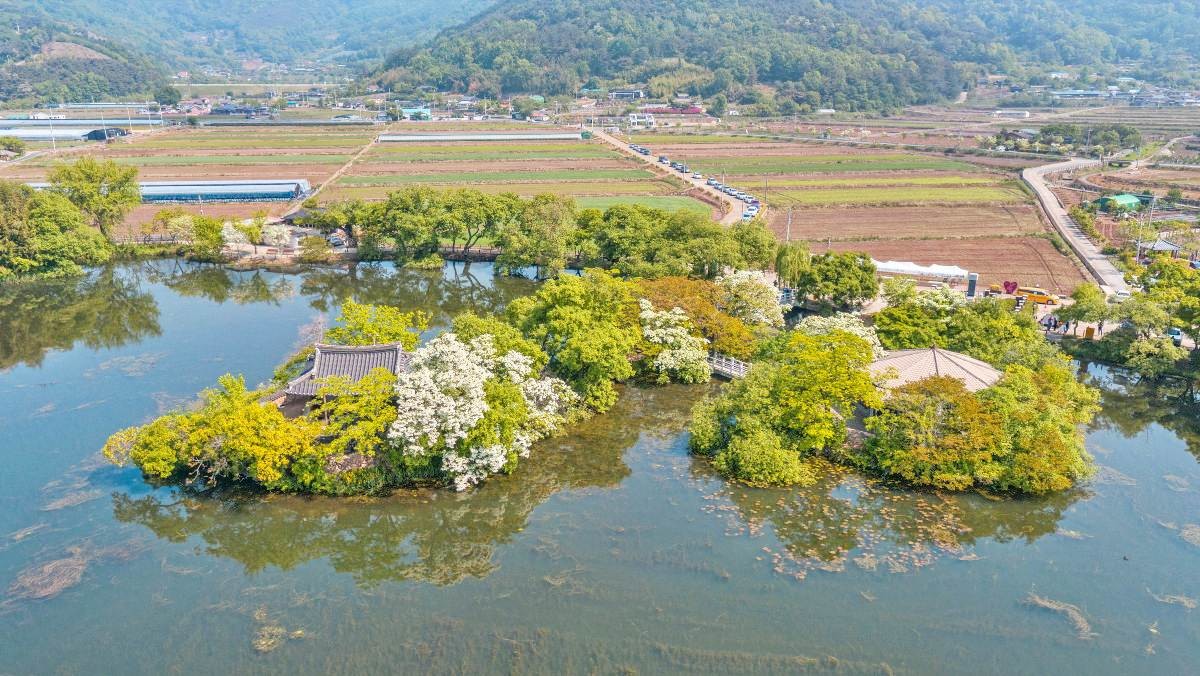 위양지 풍경 / 밀양시 문화관광 VR 캡처