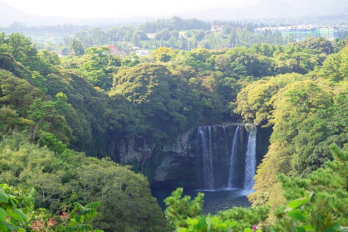 칠십리시공원에서 바라본 천지연폭포 / ⓒ한국관광 콘텐츠랩