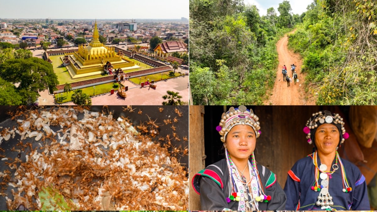 '세계테마기행' 여행의 정석, 이것이 진짜 라오스 1부, 정글 숲을 지나, 루앙남타 편 자료 사진. / EBS1 제공