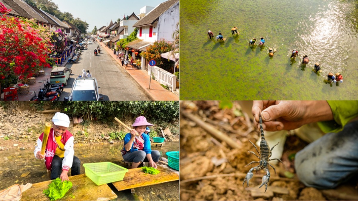 '세계테마기행' 여행의 정석, 이것이 진짜 라오스 2부, 루앙프라방 사용 설명서 편 자료 사진. / EBS1 제공