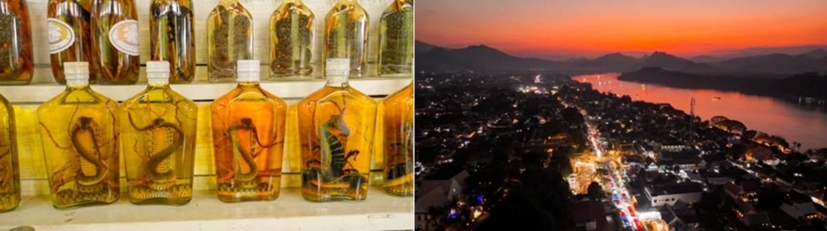 '세계테마기행' 여행의 정석, 이것이 진짜 라오스 2부, 루앙프라방 사용 설명서 편 자료 사진. / EBS1 제공