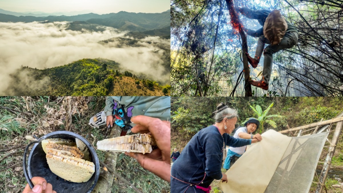 '세계테마기행' 여행의 정석, 이것이 진짜 라오스 3부, 마지막 오지, 후아판 편 자료 사진. / EBS1 제공