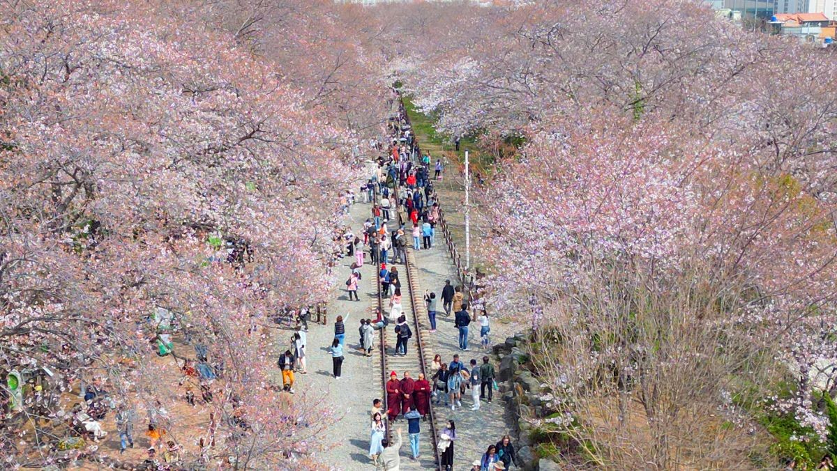 경화역공원. / 연합뉴스
