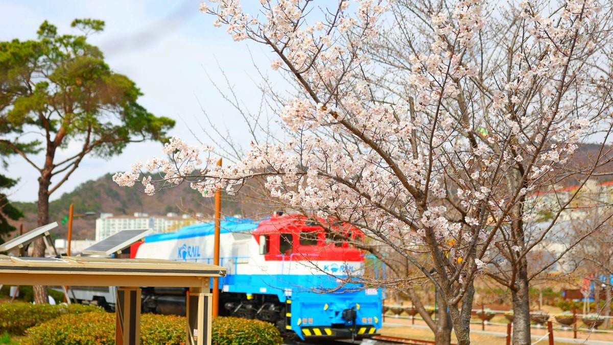 경화역공원. / 연합뉴스
