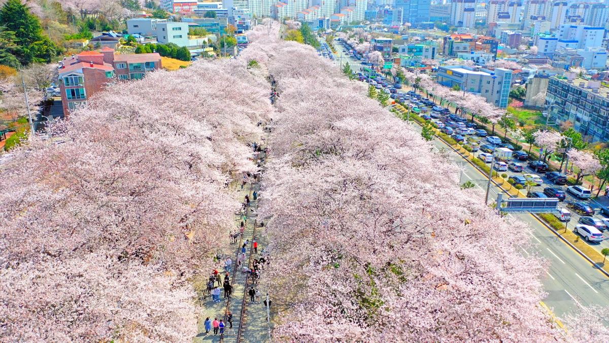 경화역공원. / 연합뉴스