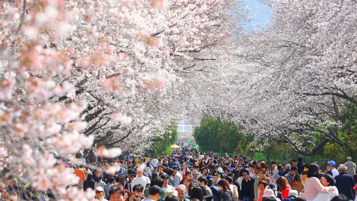 경화역공원. / 뉴스1