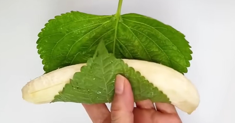 유튜브 '주부나라'