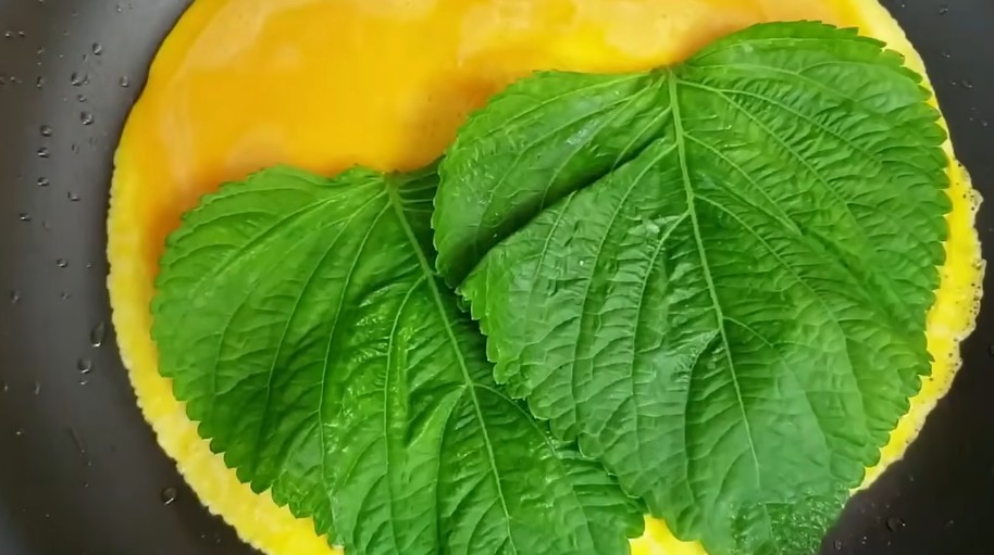 유튜브 '주부나라'