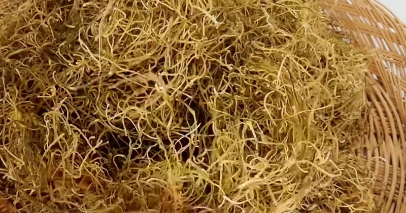 유튜브 'sogyo table 소교식탁TV'