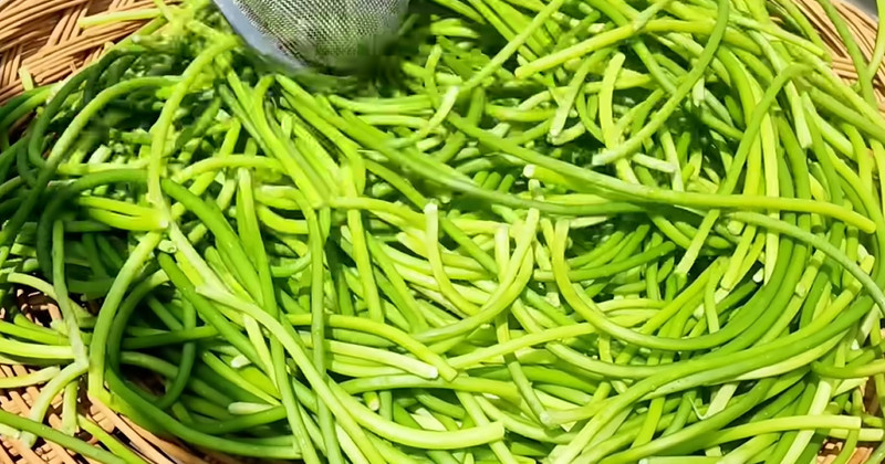 유튜브 'sogyo table 소교식탁TV'