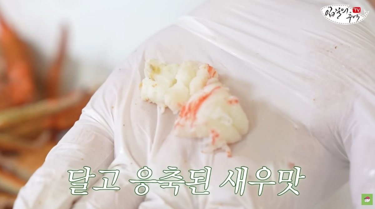 새우. / 유튜브 '입질의추억TV jiminTV'