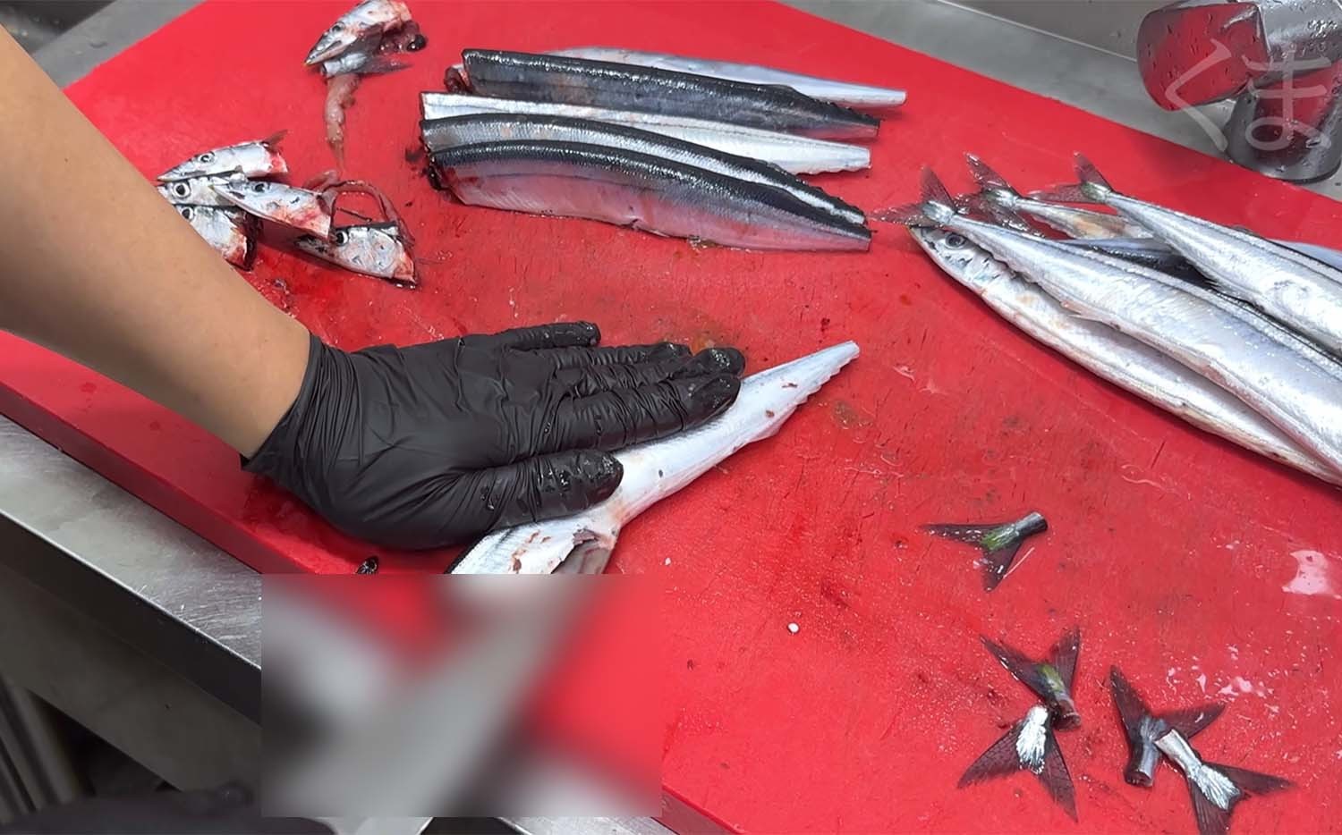 꽁치 손질 모습. / '일타쿠마' 유튜브 채널