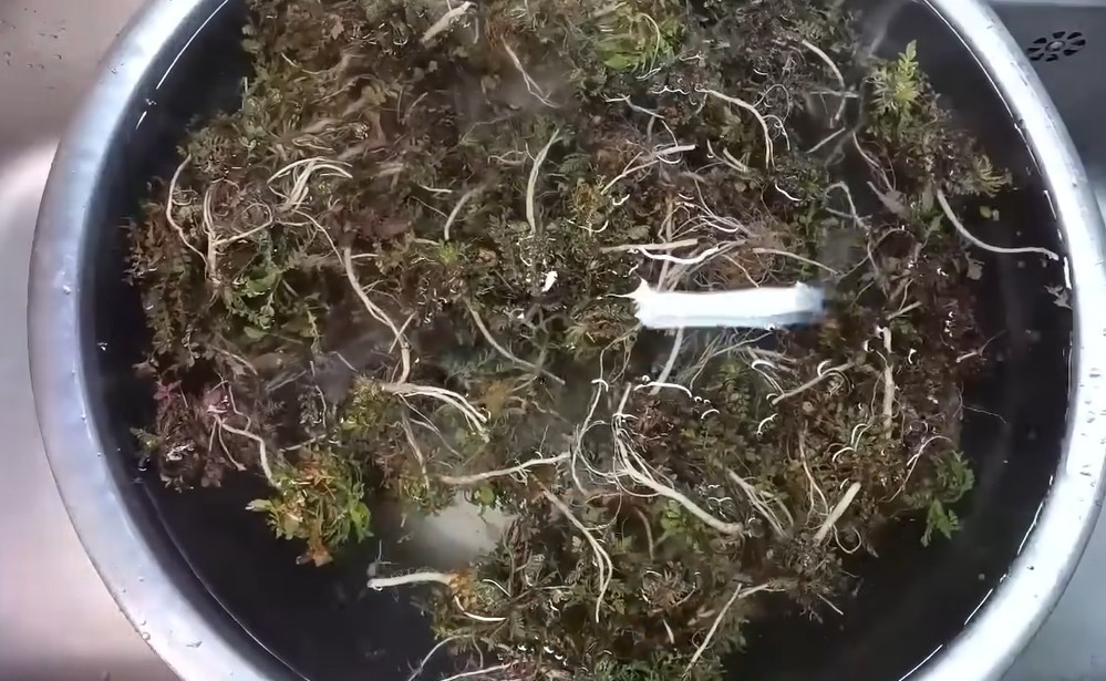 유튜브 '주부나라'