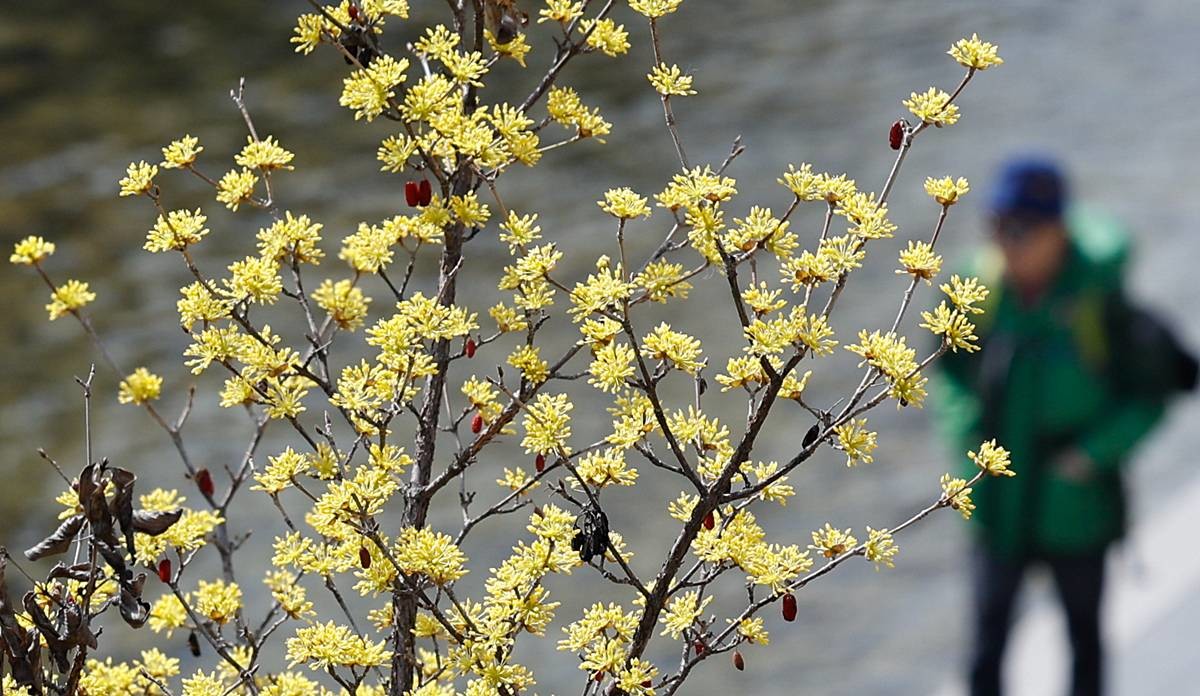 일교차 큰 날씨 / 뉴스1