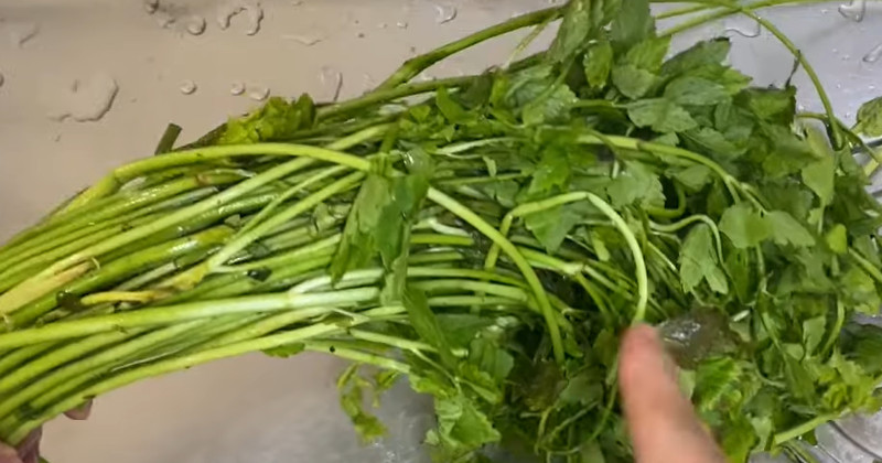 유튜브 '스마일살림'