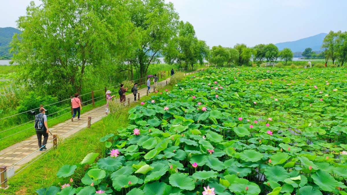 양평 세미원. / 뉴스1