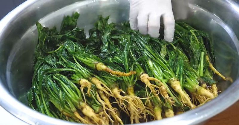 유튜브 '들뫼곳간'