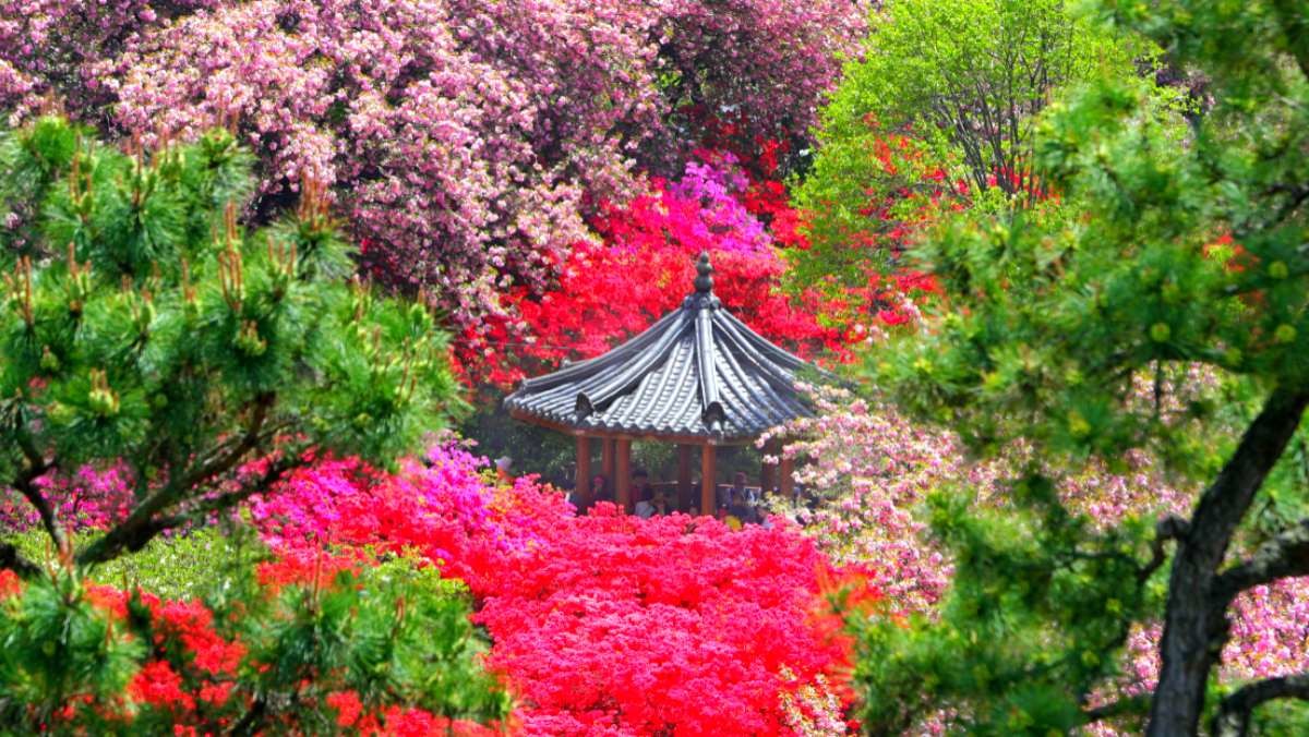 전주 완산공원. / 뉴스1