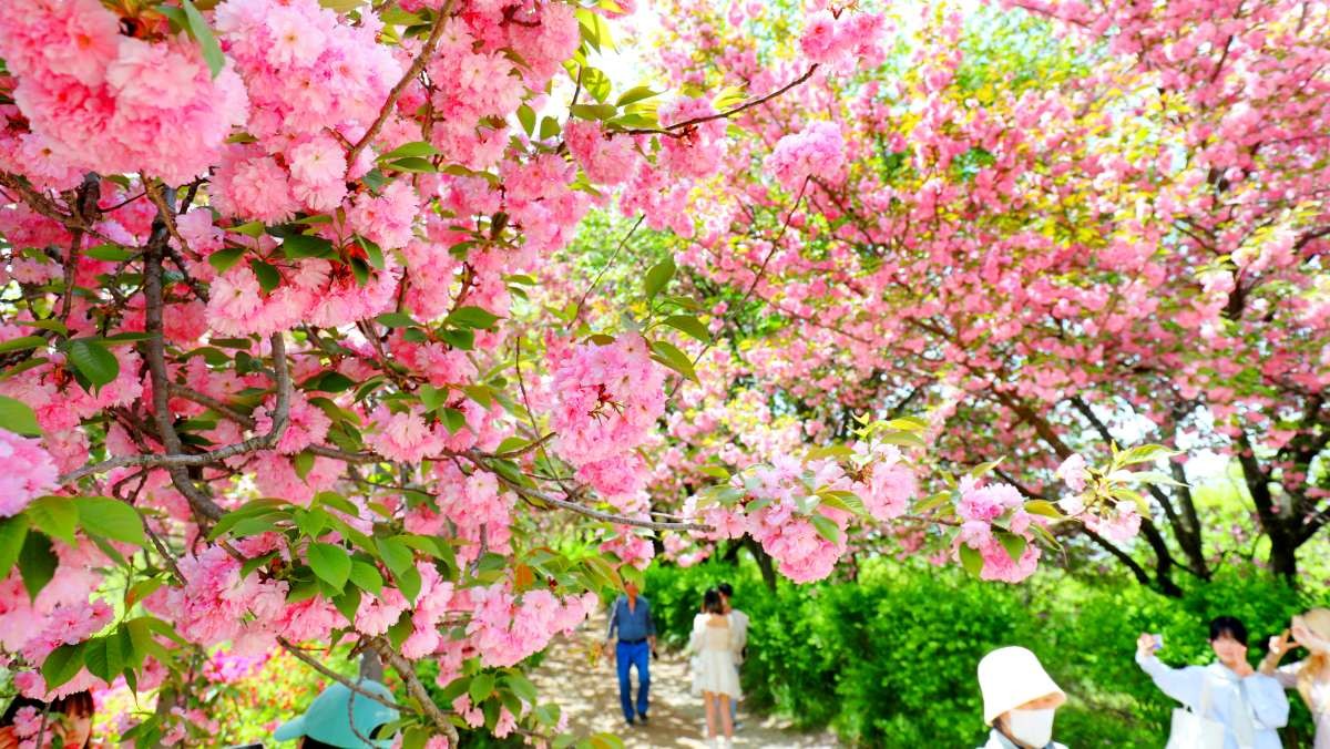 전주 완산공원. / 뉴스1