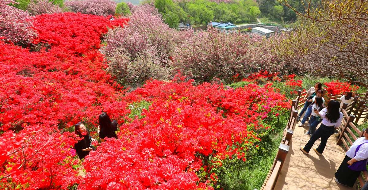 전주 완산공원. / 뉴스1