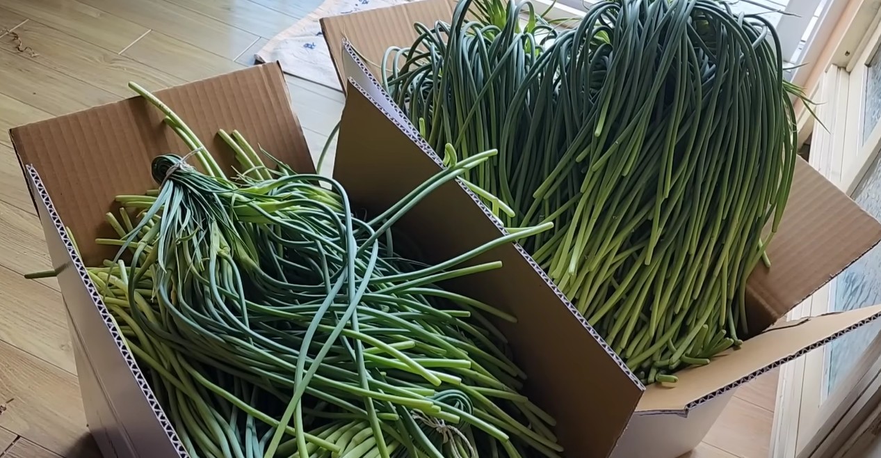 유튜브 'sogyo table 소교식탁TV'