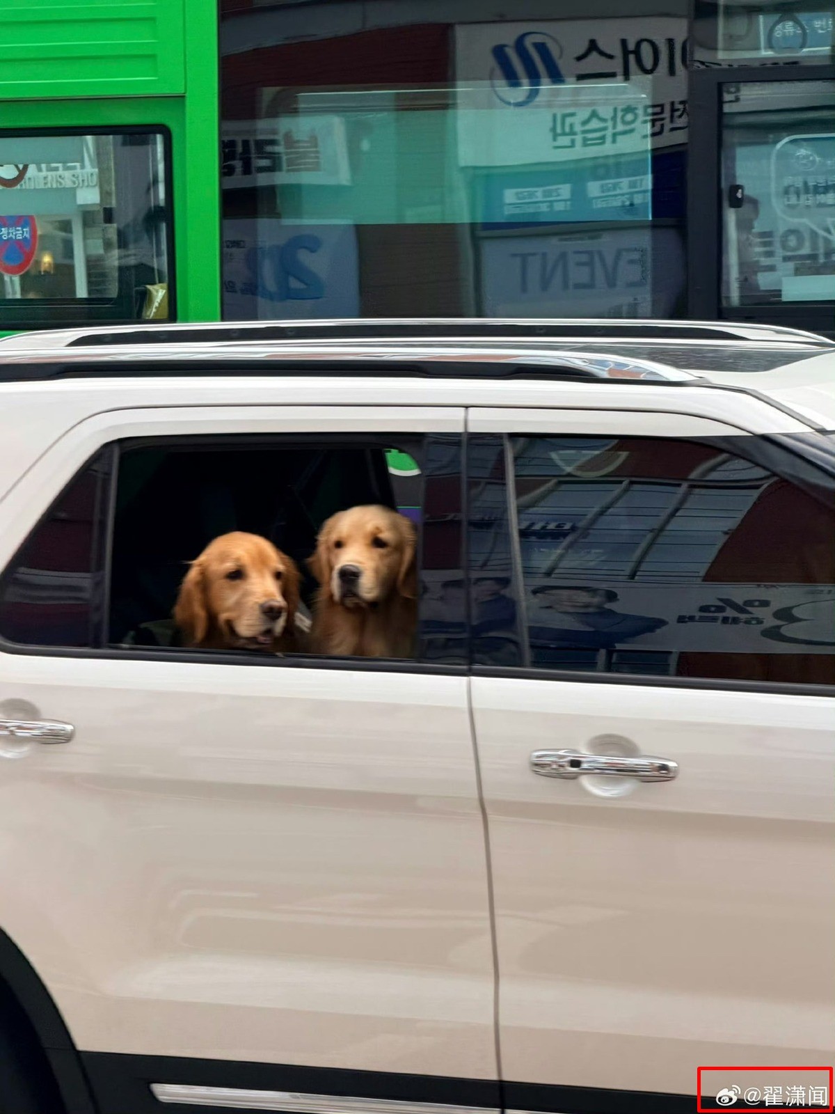 오른쪽 하단에 중국 연예인 적소문의 SNS 계정이 워터마크로 박혀 있다. / 더쿠