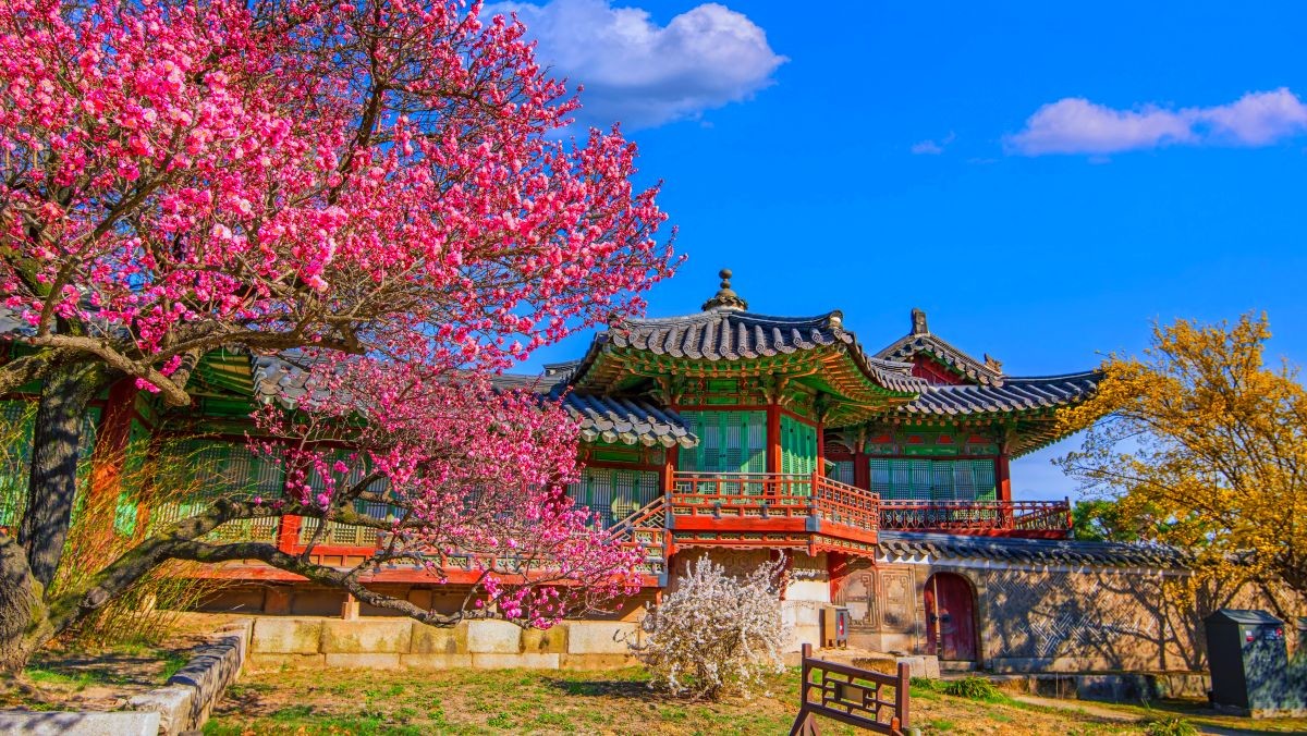 창덕궁. / Chan008-shutterstock.com