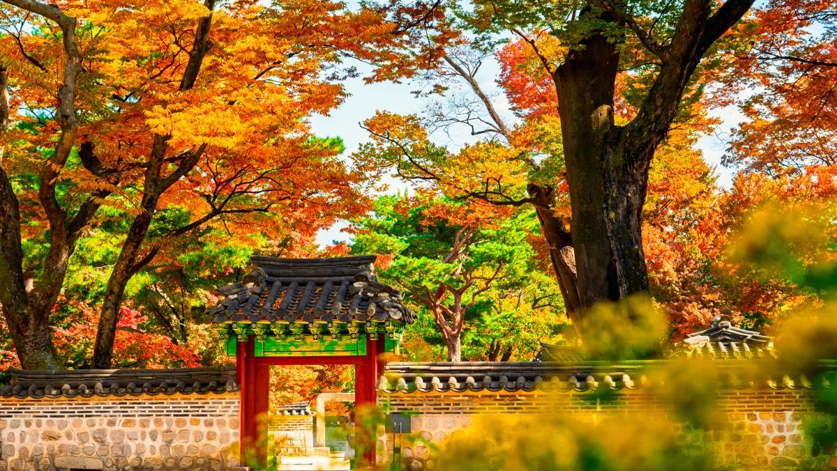 창덕궁. / iamlukyeee-shutterstock.com