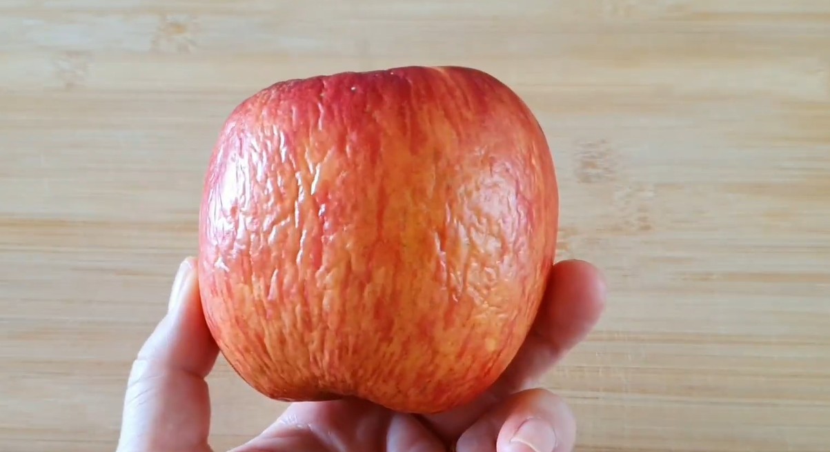 유튜브 '묘식당 Rabbit's'