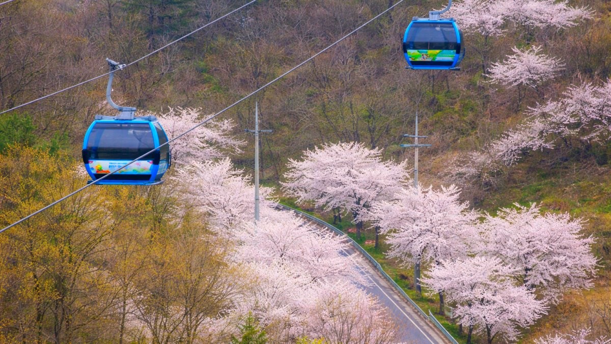 청풍호반 케이블카. / 제천시 공식 블로그, AI