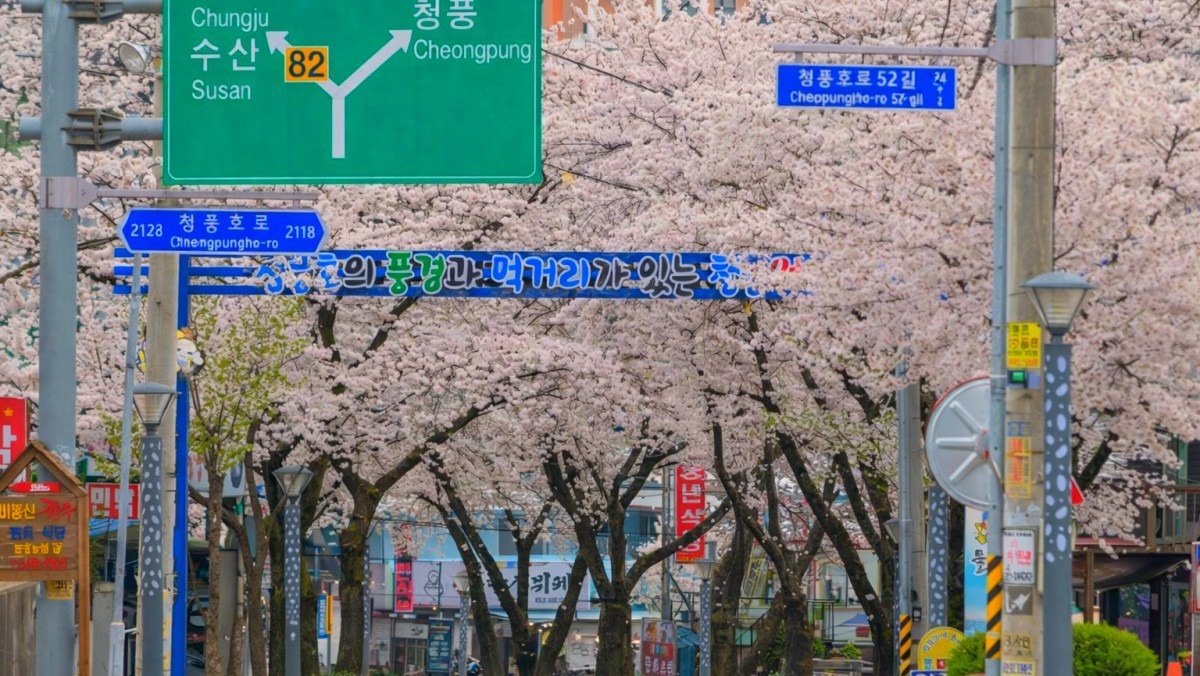 청풍호 물태리. / 제천시 공식 블로그, AI