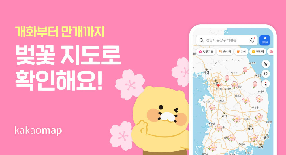 카카오맵 벚꽃 지도 / 카카오