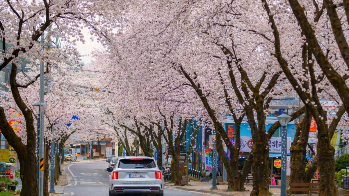 청풍호 물태리. / 제천시 공식 블로그, AI